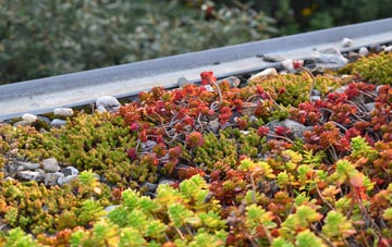 the cost of Westthorpe green roof installation